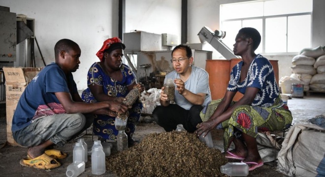 我在現場·照片背后的故事丨在非洲，我看見“幸福草”的力量